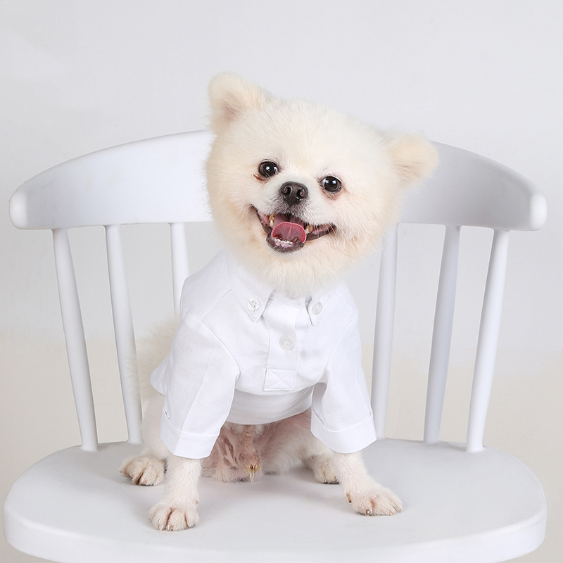Summer Dog Clothing - Camicie con fondo per animali domestici