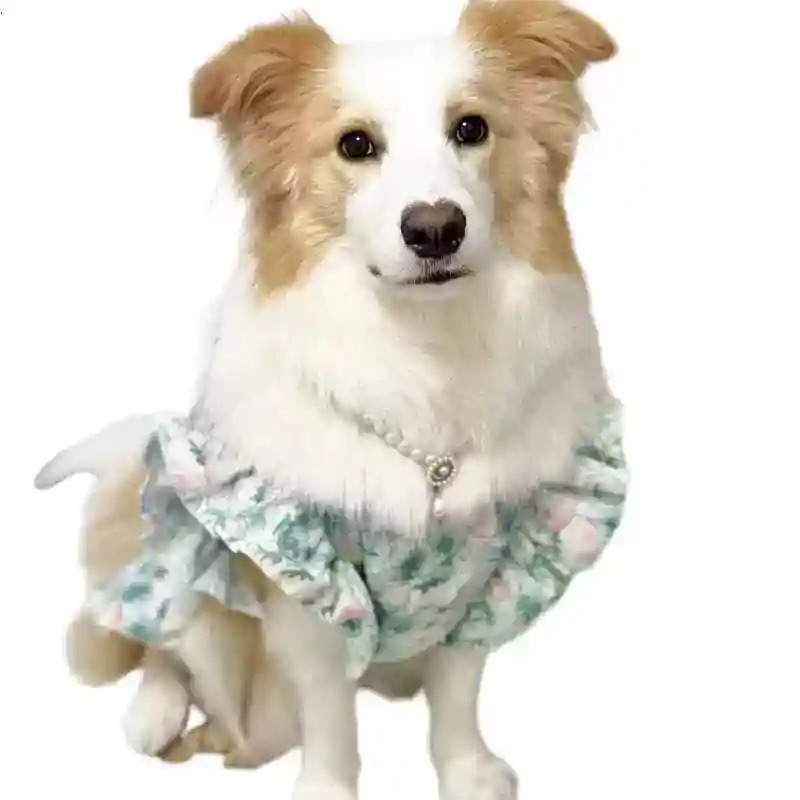 Summer Dog Clothing - Abbigliamento per Animali Domestici Primavera Estate,