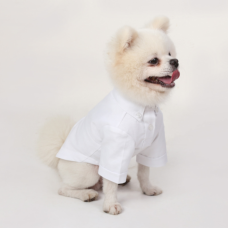 Camicie con fondo per animali  - Summer Dog Clothing recensione e prezzo