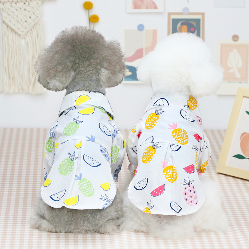 Nuovi Vestiti Primaverili ed E - Summer Dog Clothing recensione e prezzo