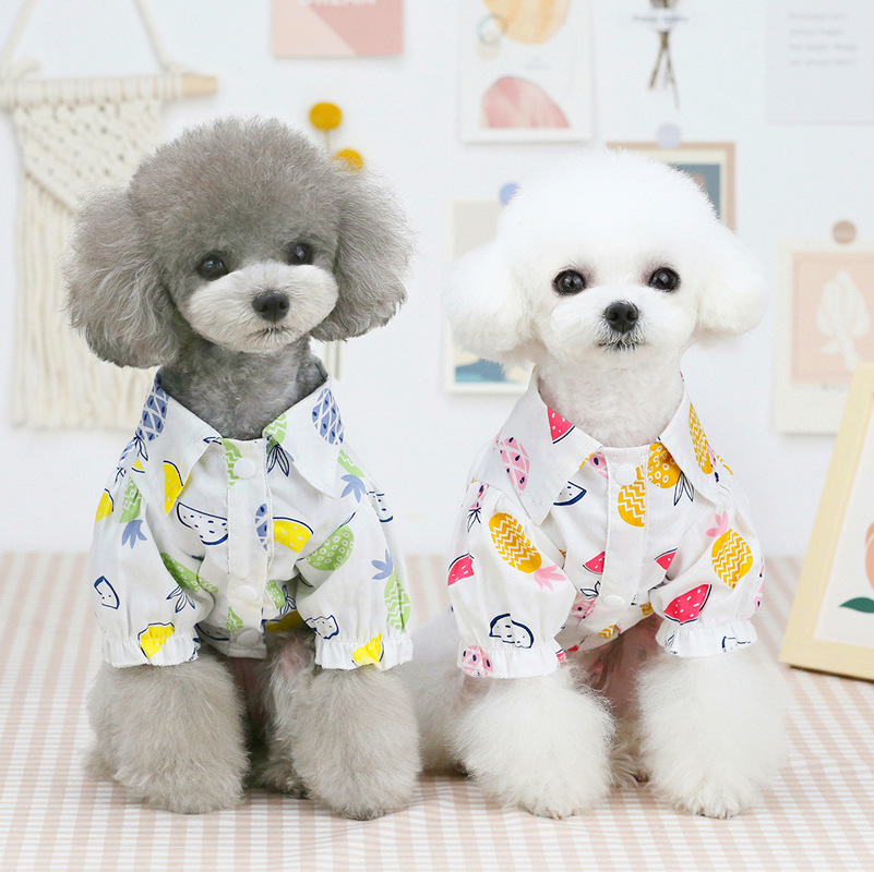 Nuovi Vestiti Primaverili ed E - Summer Dog Clothing recensione e prezzo