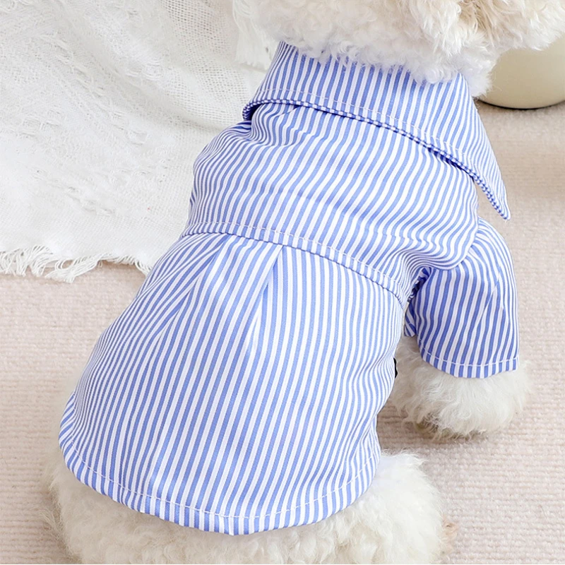 Vestiti per cani da compagnia  - Summer Dog Clothing recensione e prezzo